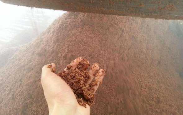 酒糟和豆渣哪个喂牛更好 豆渣和玉米酒糟喂鸡哪样好
