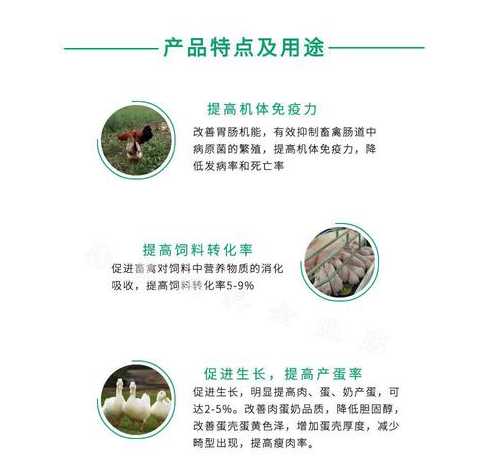酶制剂在猪饲料中的作用 酶制剂在肉制品加工中的应用