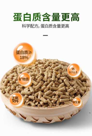 养鹅的主要饲料是什么 小鹅吃什么饲料