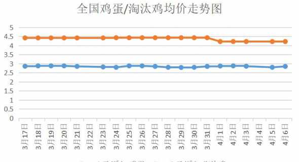 淘汰蛋鸡价格多少钱一斤 淘汰蛋鸡和老母鸡区别