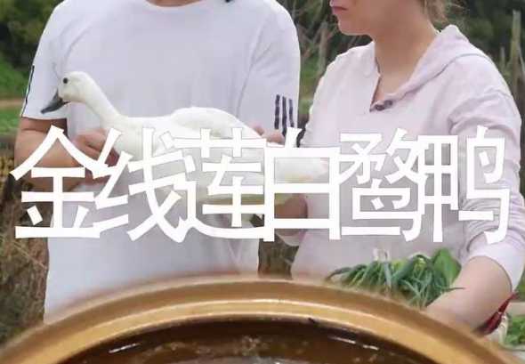 500只鸭子利润多少钱 养殖鸭子500只成本