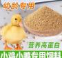 1斤重的鸭子喂什么饲料 鸭子可以吃鸡饲料吗
