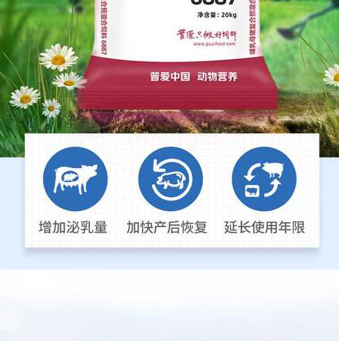 母猪预混料能不能喂绵羊 母猪用预混料、好还是浓缩料、全价料好呢 