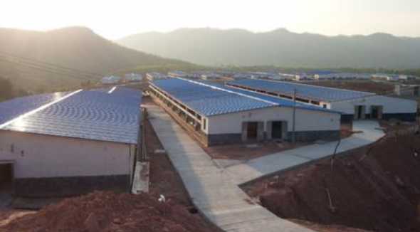 养猪场建设需要注意什么 养猪场的建设需考虑哪些