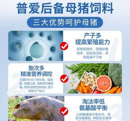 母猪的浓缩料多少钱一吨 母猪浓缩料和育肥猪浓缩料的区别
