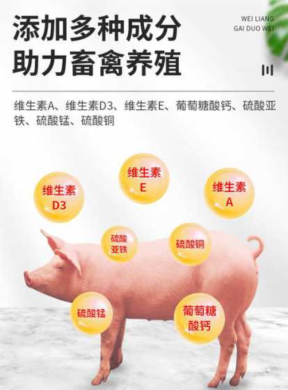 猪日粮中钙磷比例为多少 小猪分圈后一天喂多少料