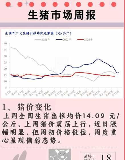 云南生猪的价格今日猪价 生猪价格暴涨,年底之前猪价还会上涨吗