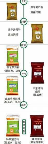 三月龄的羊吃什么饲料 羊吃什么长得快 羊育肥期饲料配方