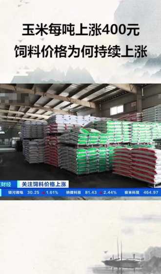 国外饲料玉米多少钱一吨 百斤玉米能换多少斤猎饲料