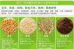 母猪复合预混料名词解释 母猪用预混料、好还是浓缩料、全价料好呢 