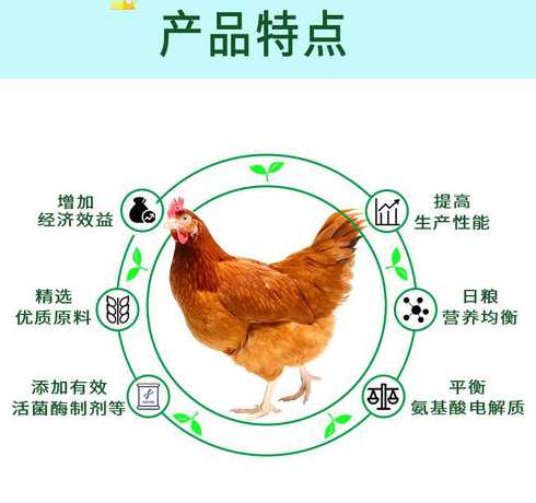 蛋鸡补氨基酸起什么作用 蛋鸡产蛋下降是什么原因