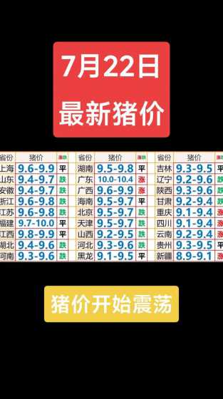 商丘猪价格今天是多少钱 猪肉现在多少钱一斤
