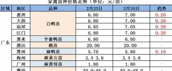 鹅的出栏时间一般是多少 养鹅多久可以出栏