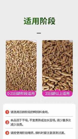 旱鸭喂什么饲料比较好 番鸭是火鸭吗有什么区别