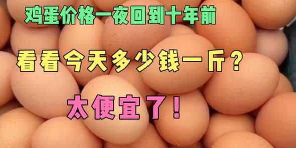 河南今天鸡蛋多少钱一斤 现在鸡蛋多少钱一斤