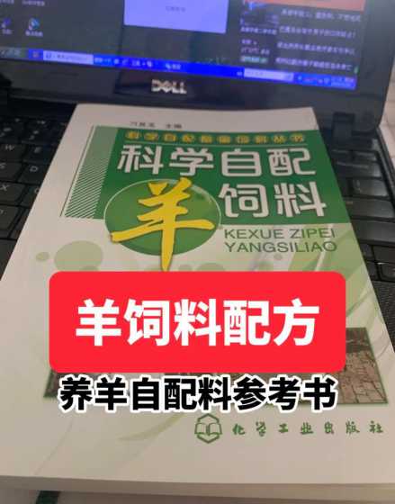 秋季如何搭配羊的饲料 羊饲料的最佳配方是什么