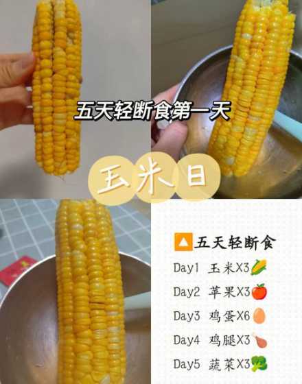 玉米拌多少小麦适合喂猪 玉米喂猪,应该如何搭配