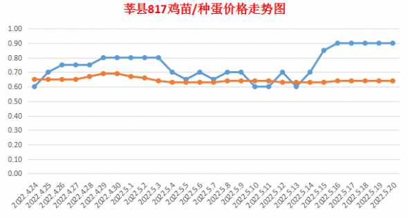 今天817鸡苗什么价格 817鸡苗是什么意思
