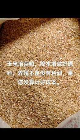 玉米胚芽粕在猪饲料应用 在饲料中玉米胚芽粕能代替玉米
