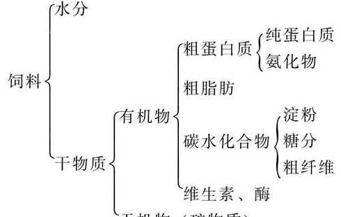 怎么使饲料的溶水性差 水面养草鱼怎么喂饲料