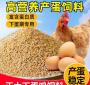 一只蛋鸡育成的多少饲料 成年蛋鸡每天所需饲料在多少斤