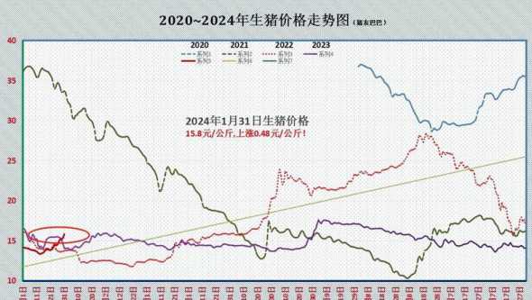 猪肉价格今日价走势毛猪 毛猪市场价格行情是怎样的