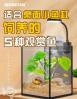 大鱼缸和小鱼缸哪个更好 养鱼是不是鱼缸越大越好呢