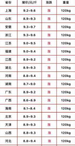 2024年5月6号猪价 2024年猪肉价格会继续上涨吗