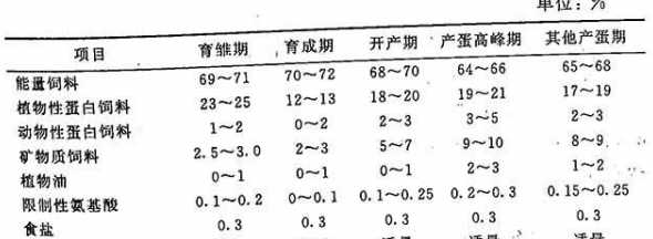 如何配制20日龄鸡饲料 喂肉鸡的饲料是怎样配制的