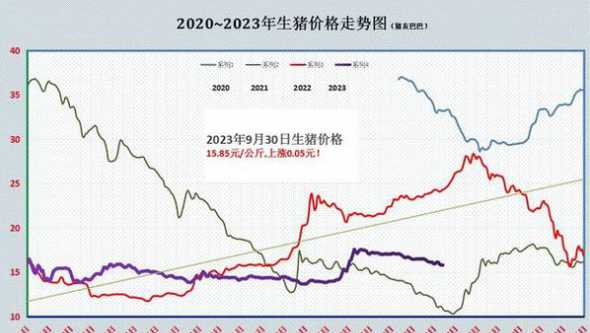 9月30日猪价近期走势 2024年下半年猪价走势如何