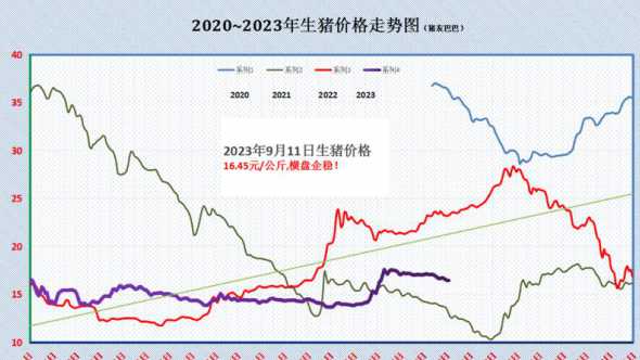 2024元月11日猪价 2024年和2024年猪价如何