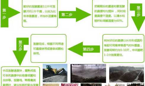 散养鸡的鸡粪如何做发酵 如何快速发酵新鲜鸡粪