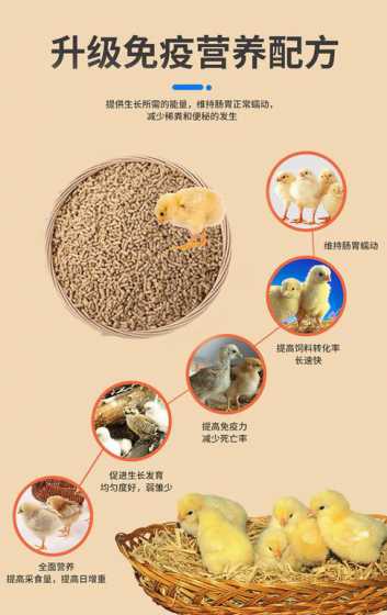 鸭子饲料什么时候是旺季 养虾饲料什么时候是旺季