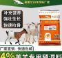 给羊羊饲料用多少豆粕 羊一天吃多少饲料