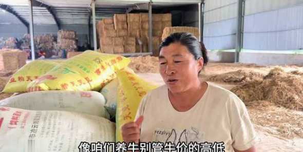 棉籽喂肉牛的好处是什么 棉籽饼喂牛有什么好处
