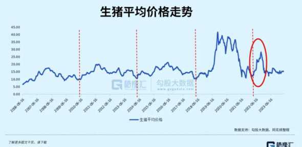 近期猪价行情走势及预测 今年下半年猪价行情走势如何