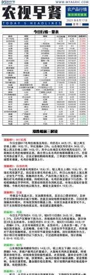 817大规格价格是多少 奔富凯帝庄公爵k817价格多少,品质如何