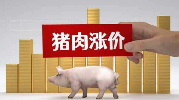 今日猪价1月9号毛猪价 现在猪肉价格是多少,今天猪肉价格是多少