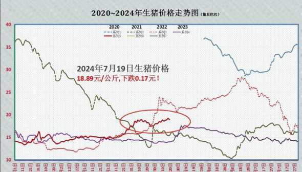 2024年8月猪价下降 8月起:粮价、猪价下跌!未来能否上涨3个好消息!